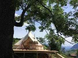 Zeltferien Into The Wäid Zelt Unter Der Esche