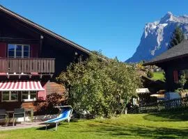 Chalet Gletscherfloh