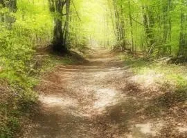 Ferienhaus Für 4 Personen Ca 65 M Sup2 In Brod Moravice, Gespanschaft Primorje Gorski Gorski Kotar