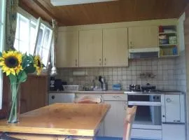 Ferien Cottage Flüehblüemli