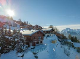Chalet Riquet - Ski/in-out - Jacuzzi, hotel in Nendaz