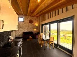 Wohnung In Schmidt Mit Grill Und Garten