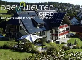 Ferienwohnungen Schwarzwaldtraum