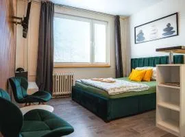 Výchozí bod pro saské Švýcarsko, pet friendly, Děčínský moderní apartmán