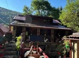 Vila Movila Revelion 2026