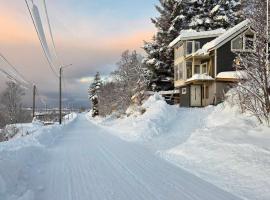 Senja Skaland, cottage a Melkarhola