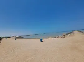 Turtles beach resorts