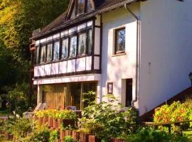 Studio für 4 Personen ca 85 qm in Waldbreitbach, Rheinland-Pfalz Westerwald