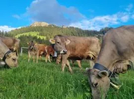 Bio Hof Brudersrüti