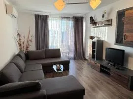 Venus Warm and Stylish Apartament at Coresi