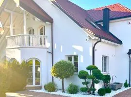 Holiday Luxury Villa Indoor Infinity Pool near Basel