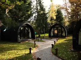 AvantGlamp