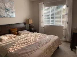 Bright Room Workspace Quiet Sammamish Home with share living room