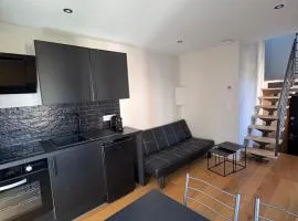 Cozy Albertville studio, close to ski resorts