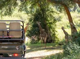 Karongwe - River Safari Lodge