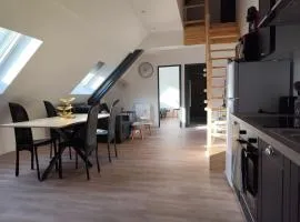 Très joli F4 neuf au pied du Château avec jardin