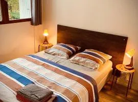 32EG faculté médecine, hôpitaux, vinatier