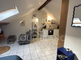 Sur les toits-Gare-Centre ville-Idéalement situé