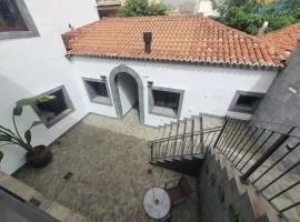 Blue Lizard Apartments