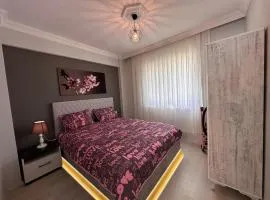 Very hygienic apartment close to the center and the airport