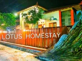 Lotus Homestay