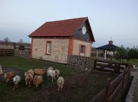 Agroturystyka Dabrowice