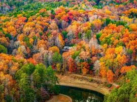 The Bears & Bees Lodge