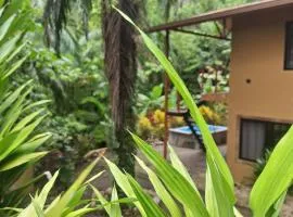 Villas Corcovado-AC-Jacuzzi-Pool-Great Views-Nature-Relaxing