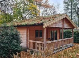 HderH - Eco Lodge op vakantiepark De IJsvogel, zwembaden, kids fun, natuur en rust