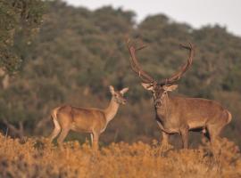 Molino de Tabara, ξενοδοχείο σε Tábara