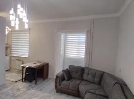 City Center Apartment