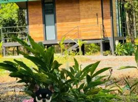 Cabañas La Hermosa #1