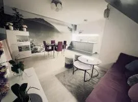 Apartamenty w Karpaczu ,, Lawendowy i Mięta Góralki ''