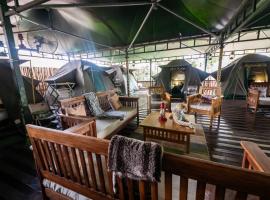 The Tree Top Village Urban Glamping