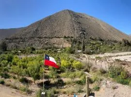 VALLE DEL ELQUI,Diaguitas, Vicuña