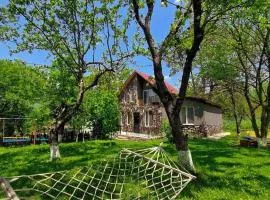 Bacho's cottages Mzetamze - cozy mountain retreat