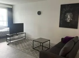 Hostel400Kokkola Kaksio Hollihaka