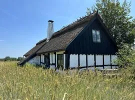 Timber Cottage with Rustic Charm