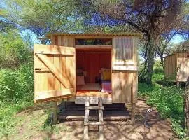 Majimoto Bushpig Camp