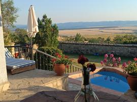 къщи за гости villa Momino, ξενοδοχείο σε Avren