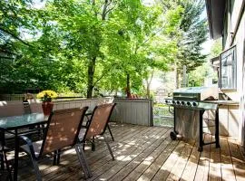 3BD Downtown Ketchum Condo - Near Town & Ski Lifts