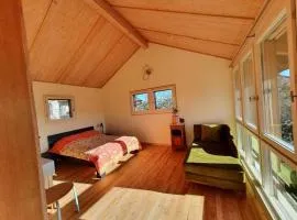 Garden Oasis In Bern