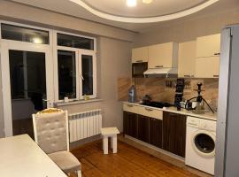 Modern & Cozy Shared Apartment, hotel in Baku