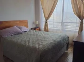 Departamento Tamarugal