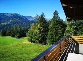 Ferienwohnung Haus Kipfen In Sibratsgfäll