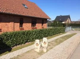 Gemütliches Ferienhaus In Godow Mit Terrasse
