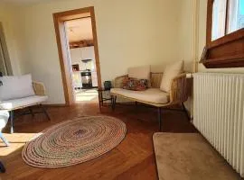 Garden Oasis In Bern