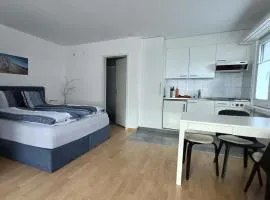 Ferienwohnung Falknis In Maienfeld Mit Bergblick