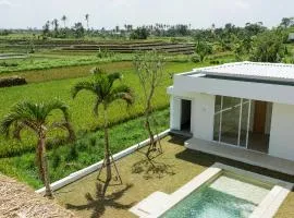 Kavo Maison Surf & Yoga Camp