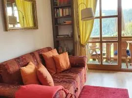 Gemütliche Ferienwohnung Mit Blick Auf Die Donau